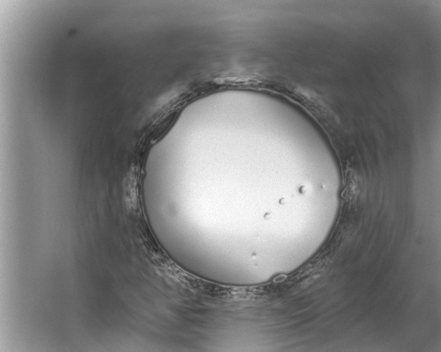 X0000064051350200602101440