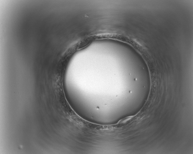 X0000064051351200602101440