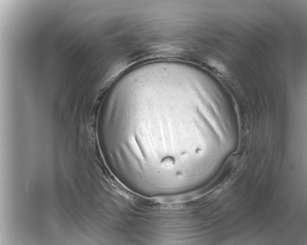 X0000064051354200602101440