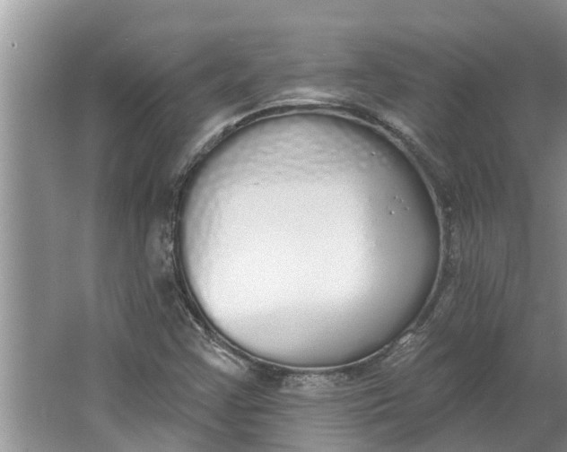 X0000064051355200602101440