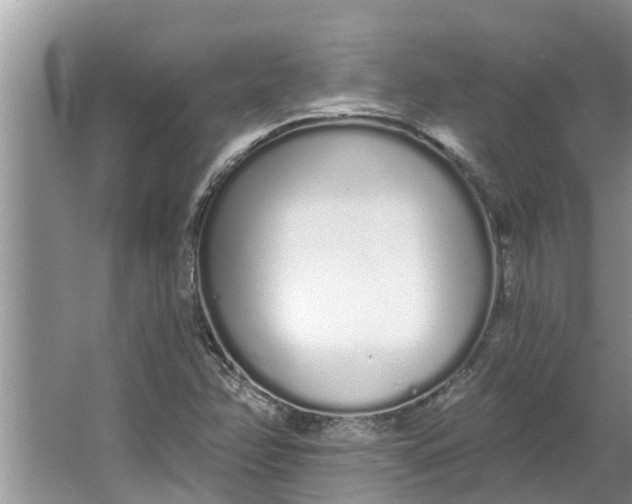 X0000064051358200602101440