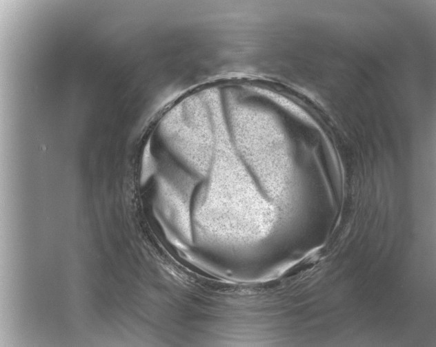 X0000064051359200602101440