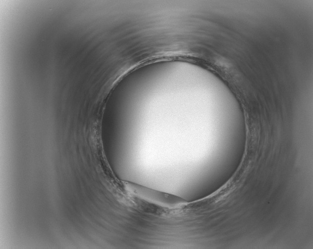 X0000064051361200602101440