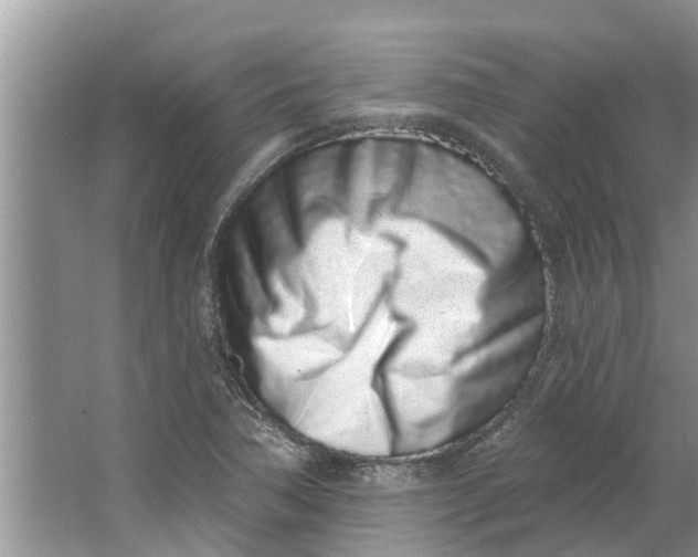 X0000064051362200602101440