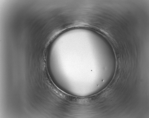 X0000064051363200602101439