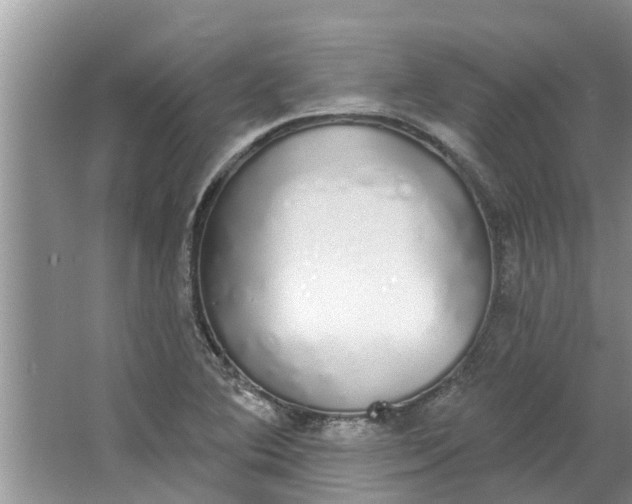 X0000064051364200602101439