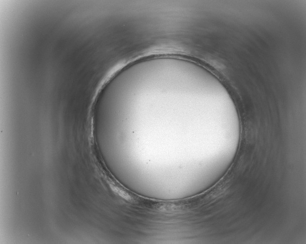 X0000064051366200602101439