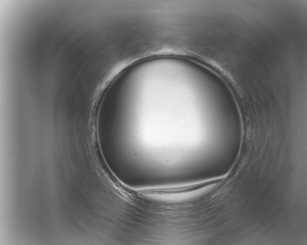 X0000064051367200602101439