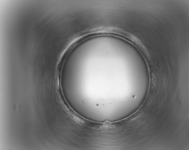 X0000064051368200602101439