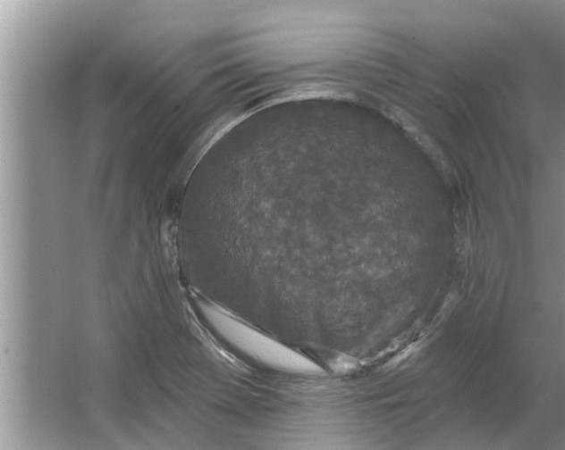 X0000064051369200602101439