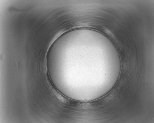 X0000064051370200602101439