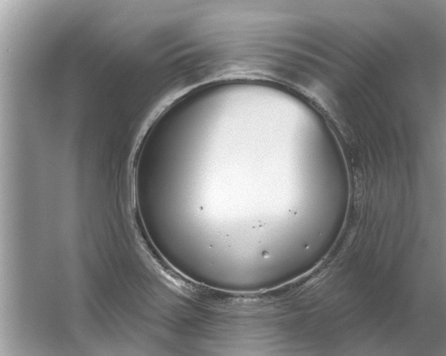 X0000064051371200602101439