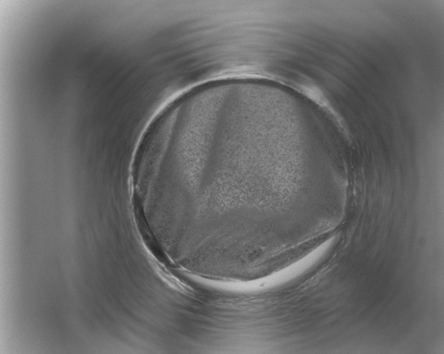 X0000064051372200602101439