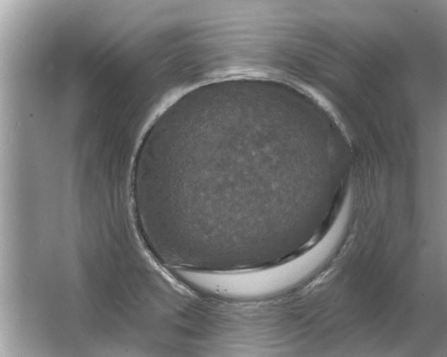 X0000064051373200602101439