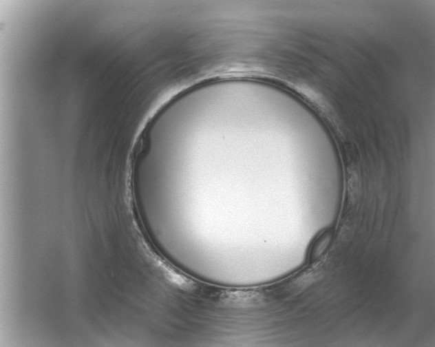 X0000064051374200602101439