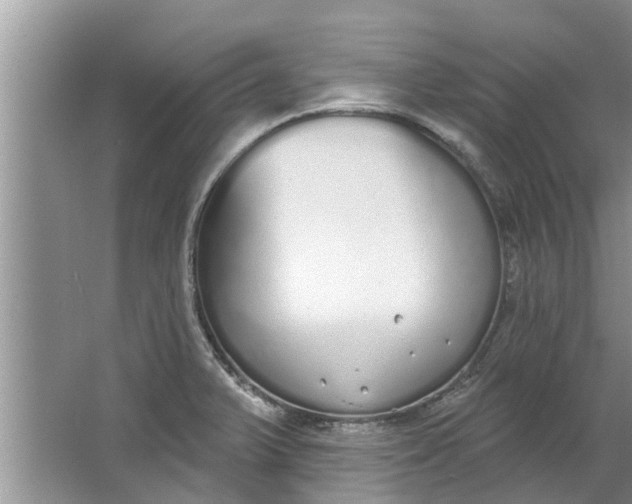 X0000064051375200602101439