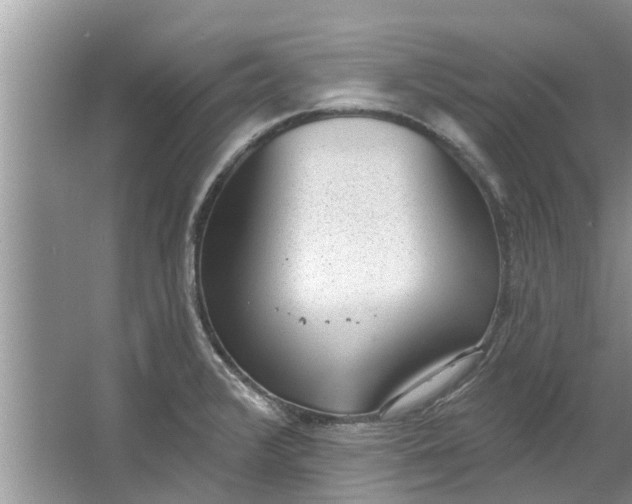 X0000064051376200602101439