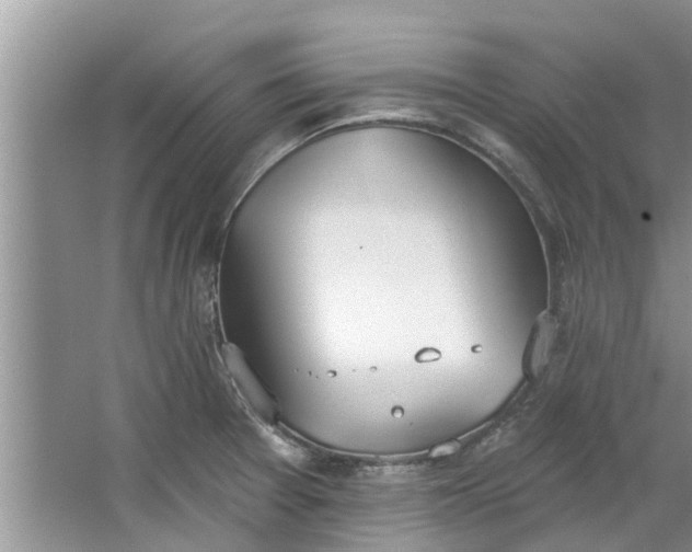 X0000064051377200602101439