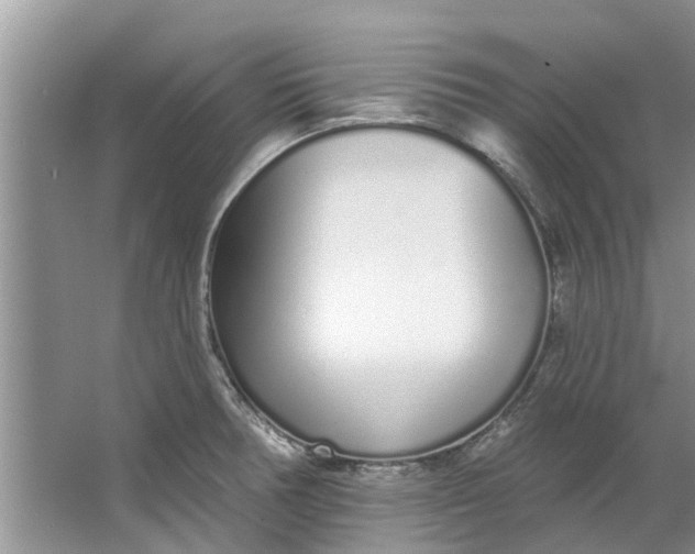 X0000064051378200602101439