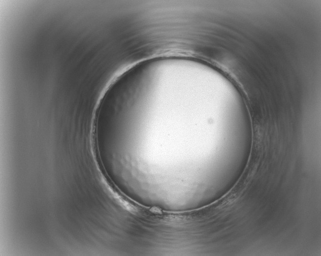 X0000064051379200602101439