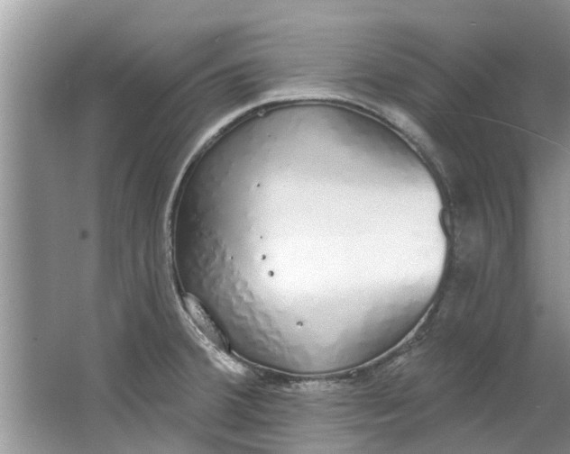 X0000064051380200602101439