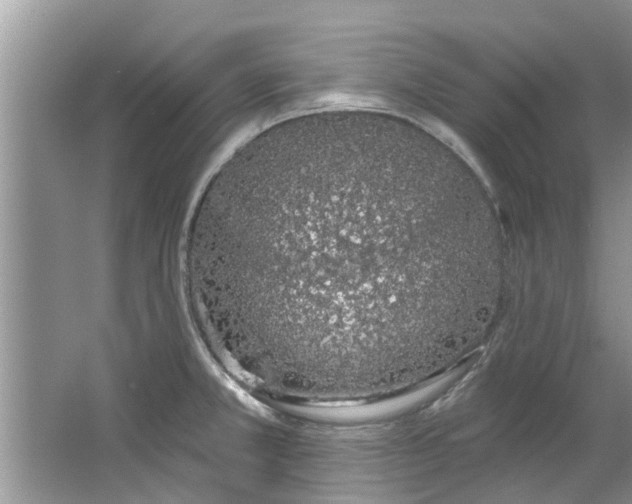 X0000064051381200602101439