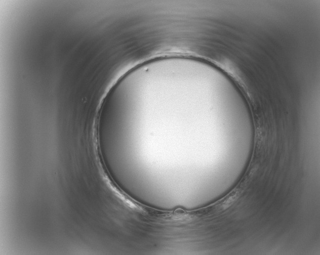 X0000064051382200602101439