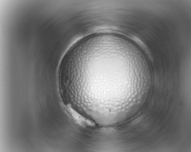 X0000064051384200602101439