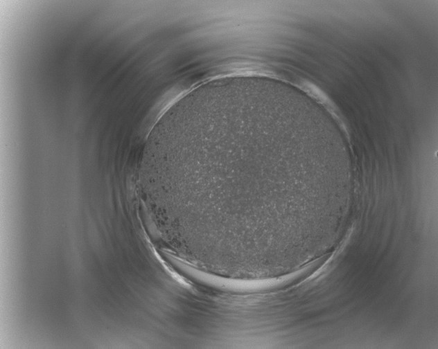 X0000064051385200602101439