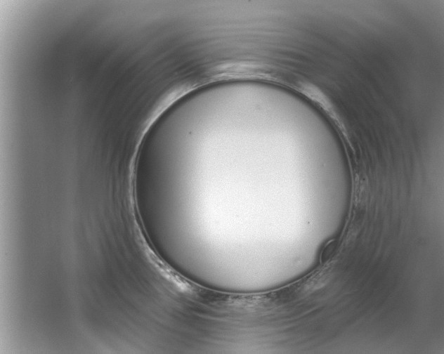 X0000064051386200602101439