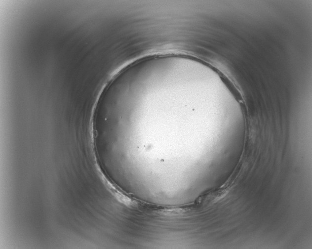 X0000064051388200602101439