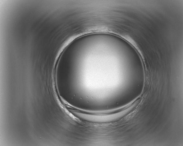 X0000064051389200602101439