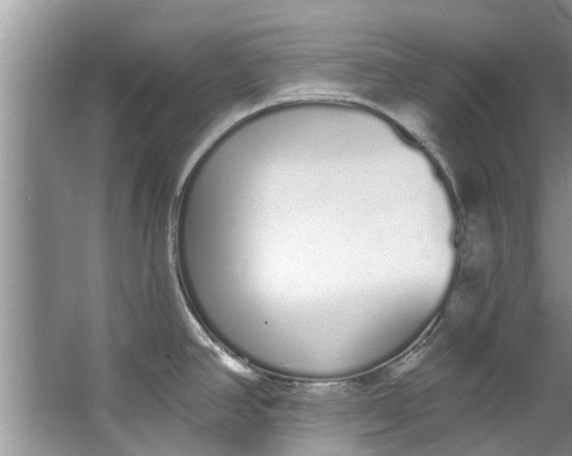 X0000064051390200602101439