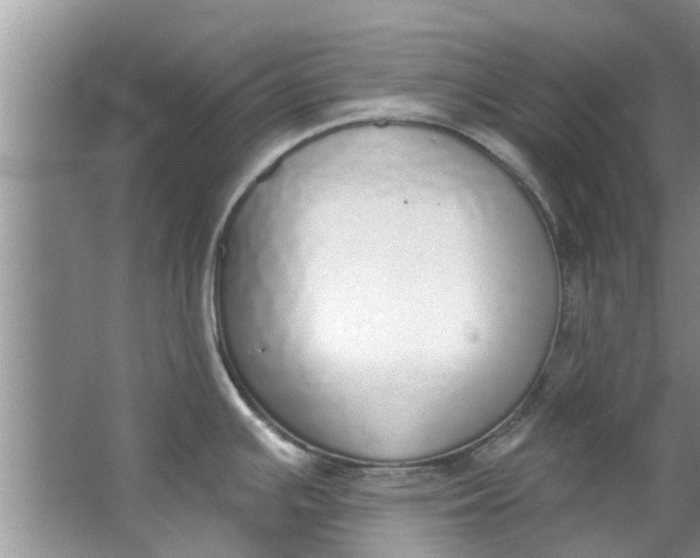 X0000064051391200602101439