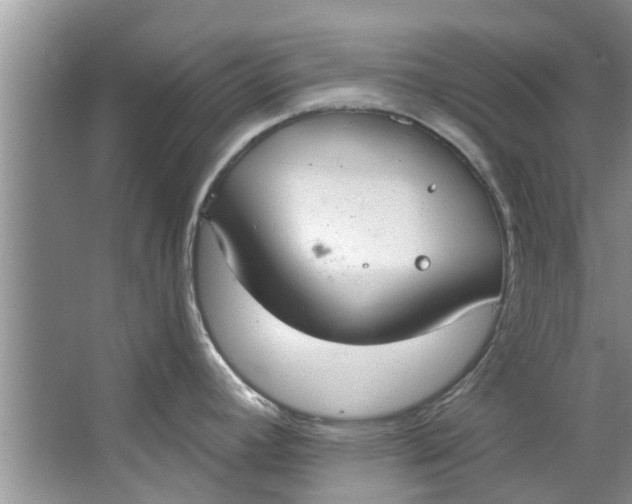 X0000064051392200602101439