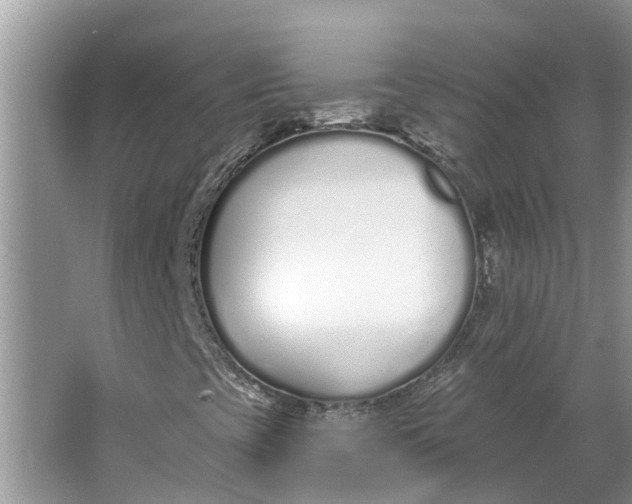 X0000064051393200602101438