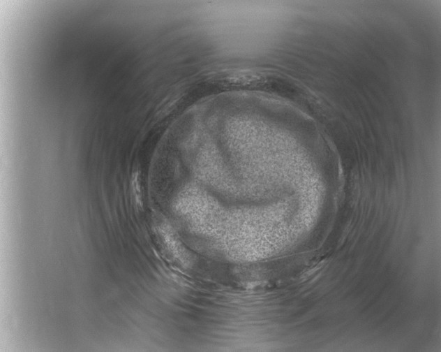 X0000064051394200602101438