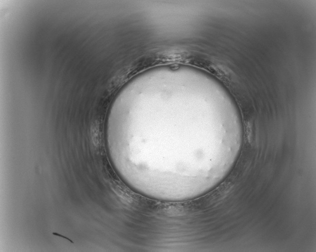 X0000064051395200602101438