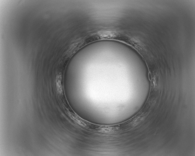 X0000064051396200602101438