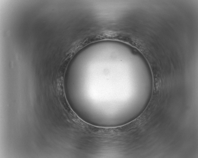 X0000064051397200602101438