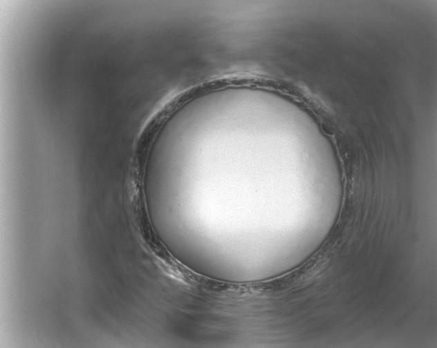 X0000064051400200602101438