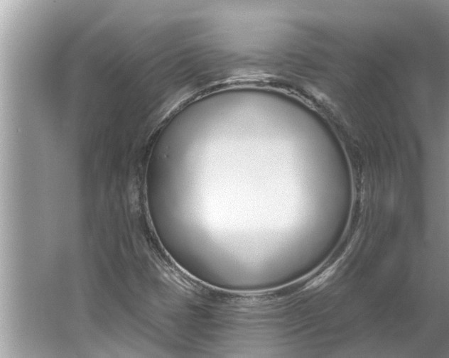 X0000064051401200602101438