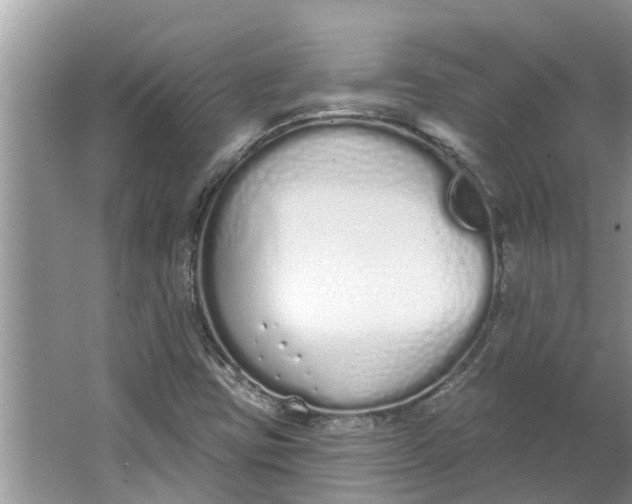 X0000064051403200602101438