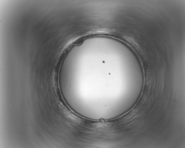 X0000064051404200602101438