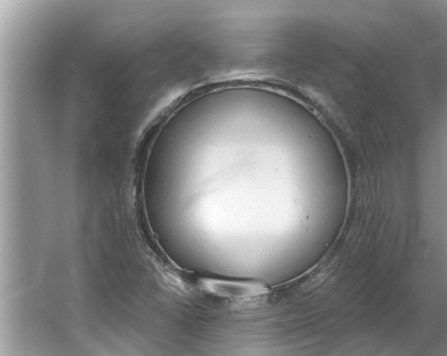 X0000064051406200602101438