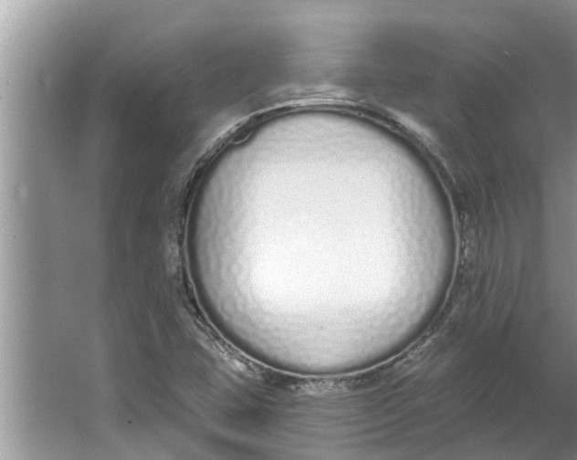 X0000064051407200602101438