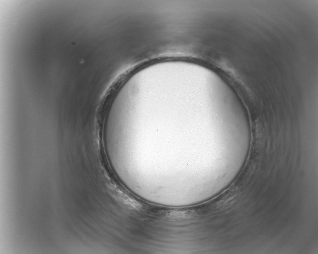 X0000064051408200602101438