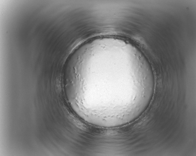 X0000064051409200602101438