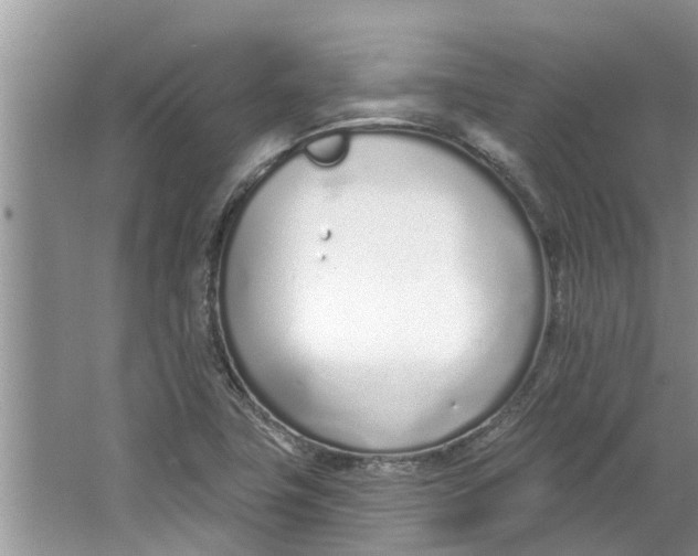 X0000064051411200602101438