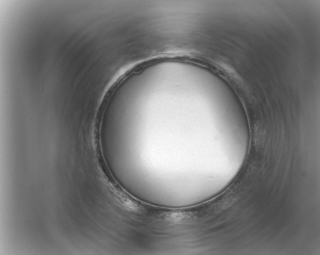 X0000064051412200602101439